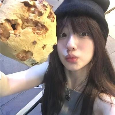 双生记之误入总裁身